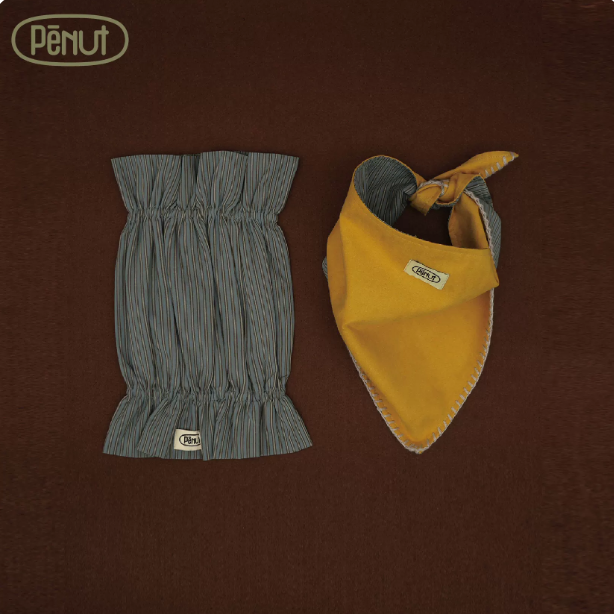 Pēnut Yellow & Blue Ear Snood & Bandana