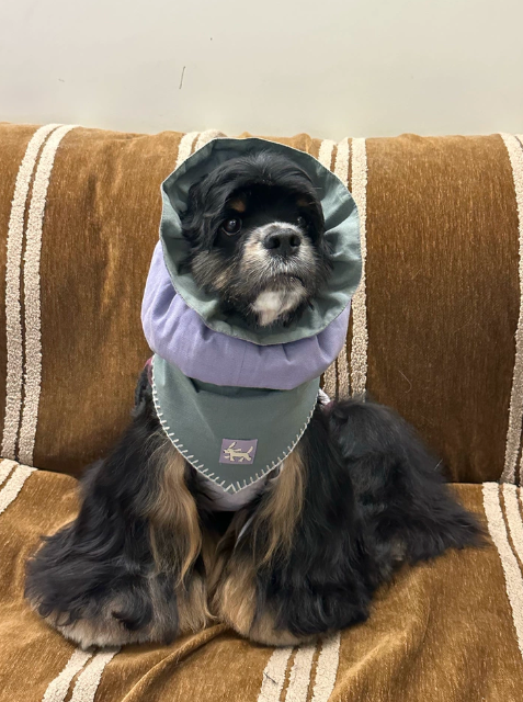 Pēnut Teal & Lavender Ear Snood & Bandana