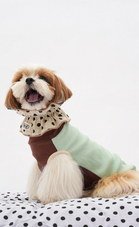 Pēnut Polka Dot Ruffle Neck Collar