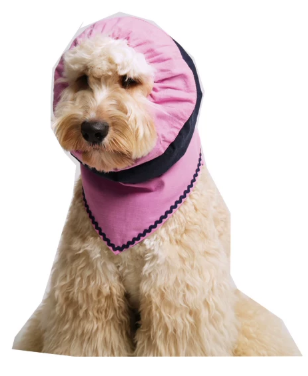 Pēnut Navy & Pink Ear Snood & Bandana