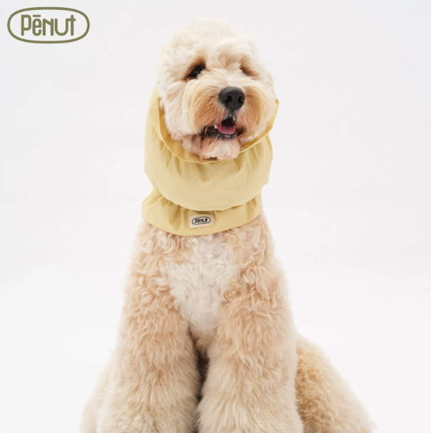 Pēnut Water-Resistant Dog Ear Snood