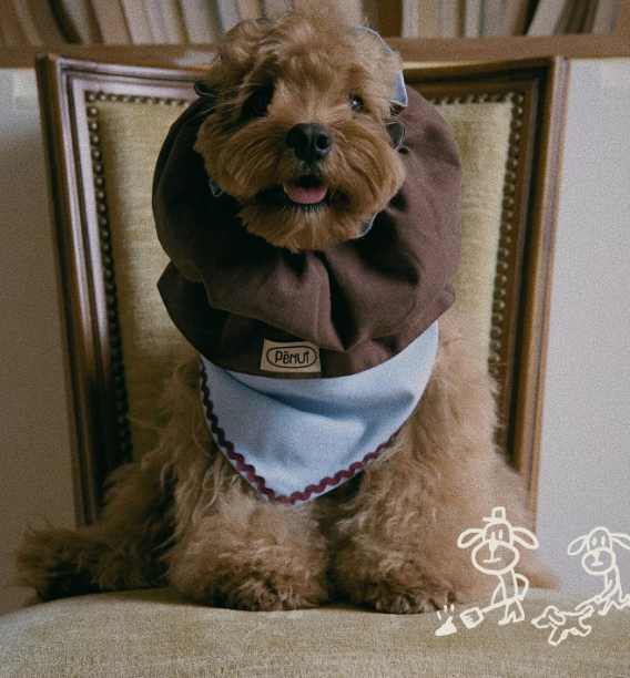 Pēnut Light Chocolate Ear Snood & Blue Bandana