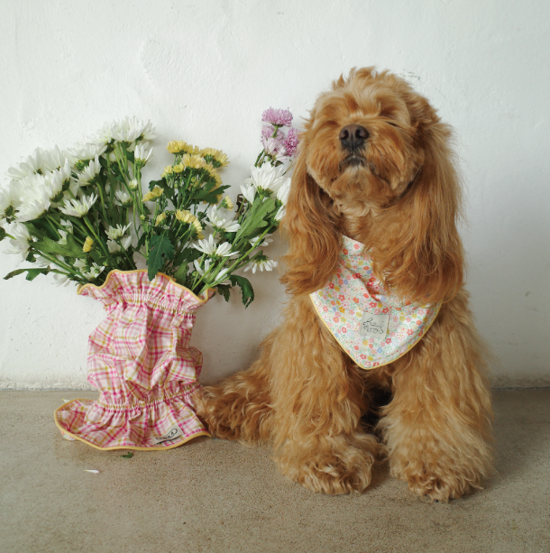 Pēnut Floral Ear Snood & Gingham Bandana