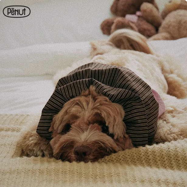 Pēnut Pink Stripe Ear Snood & Bandana