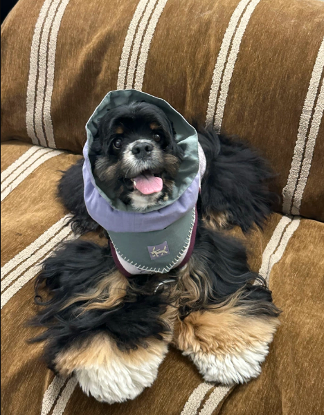 Pēnut Teal & Lavender Ear Snood & Bandana