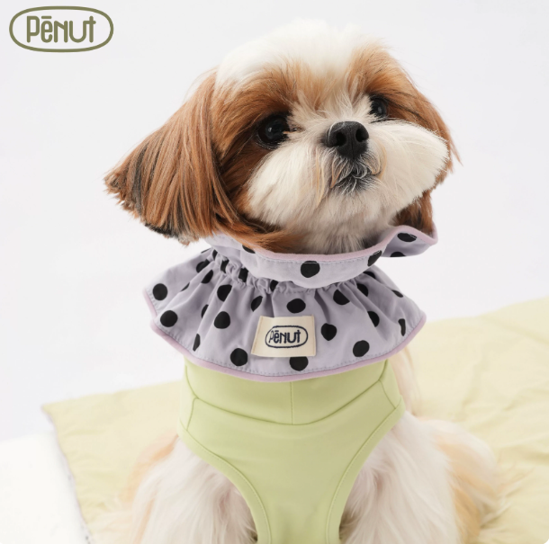 Pēnut Polka Dot Ruffle Neck Collar