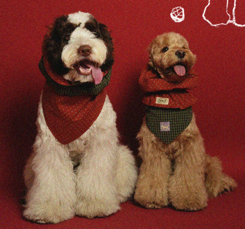 Pēnut Holiday Berry Ear Snood & Bib-Style Bandana