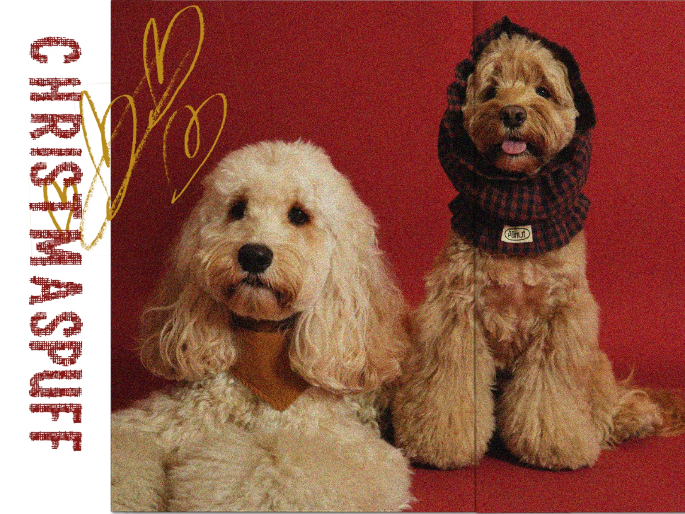 Pēnut Christmas Chestnut Ear Snood & Bandana