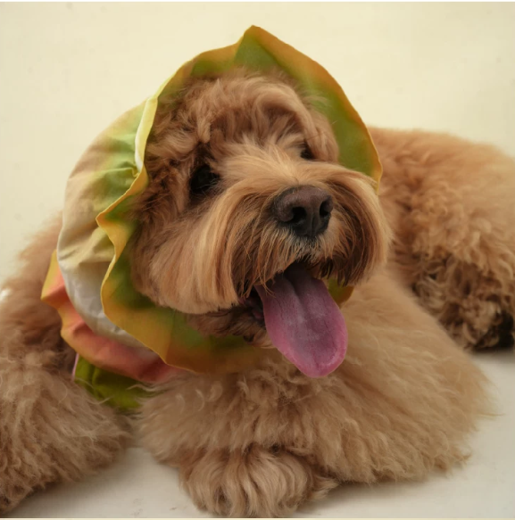 Pēnut Summer Tie-Dye Ear Snood & Bandana