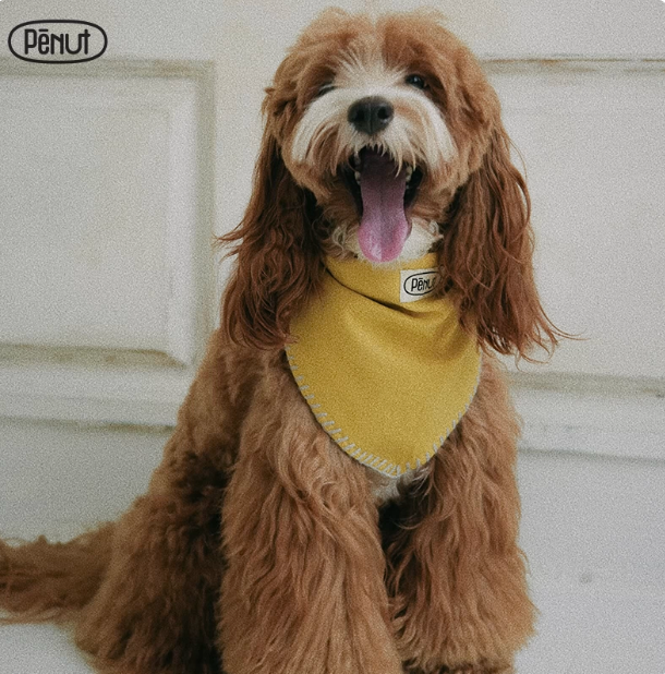 Pēnut Yellow & Blue Ear Snood & Bandana