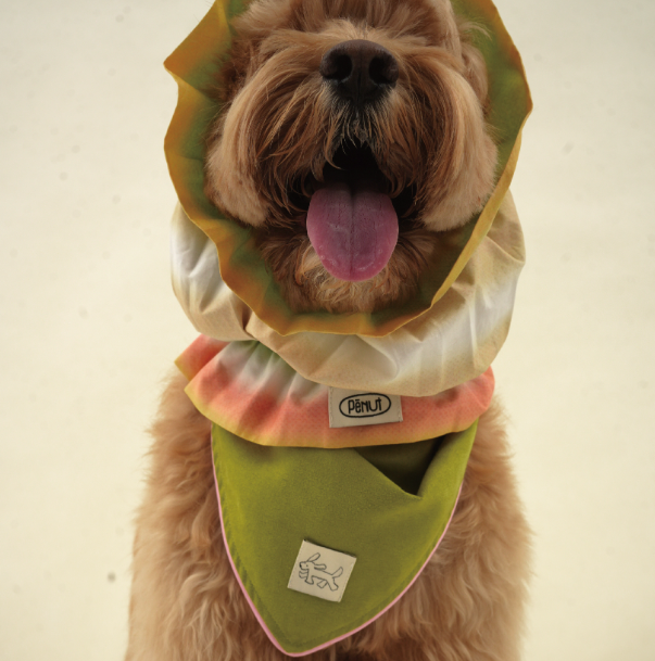 Pēnut Summer Tie-Dye Ear Snood & Bandana