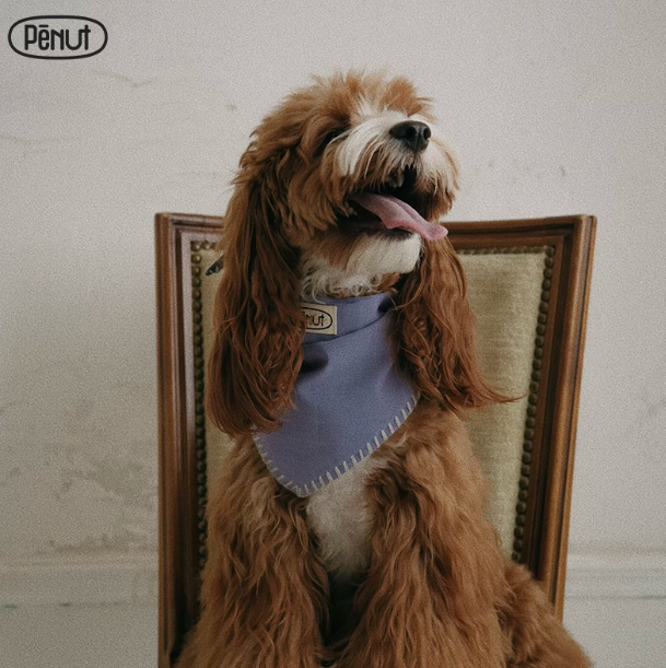 Pēnut Teal & Lavender Ear Snood & Bandana