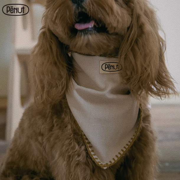 Pēnut Off-White & Mustard Ear Snood & Bandana