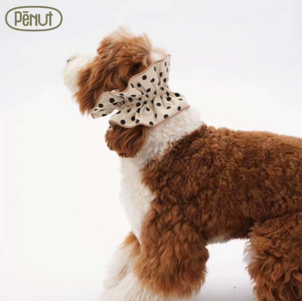 Pēnut Polka Dot Ruffle Neck Collar