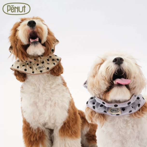 Pēnut Polka Dot Ruffle Neck Collar
