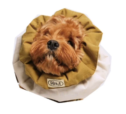 Pēnut Off-White & Mustard Ear Snood & Bandana