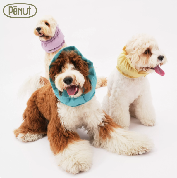 Pēnut Water-Resistant Dog Ear Snood