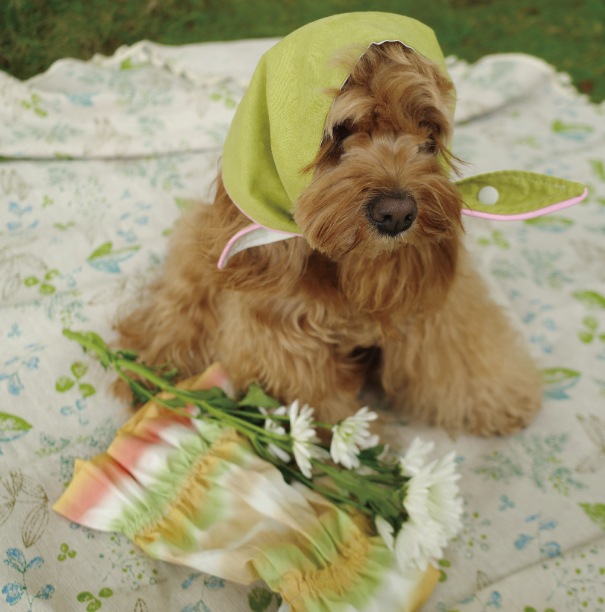 Pēnut Summer Tie-Dye Ear Snood & Bandana