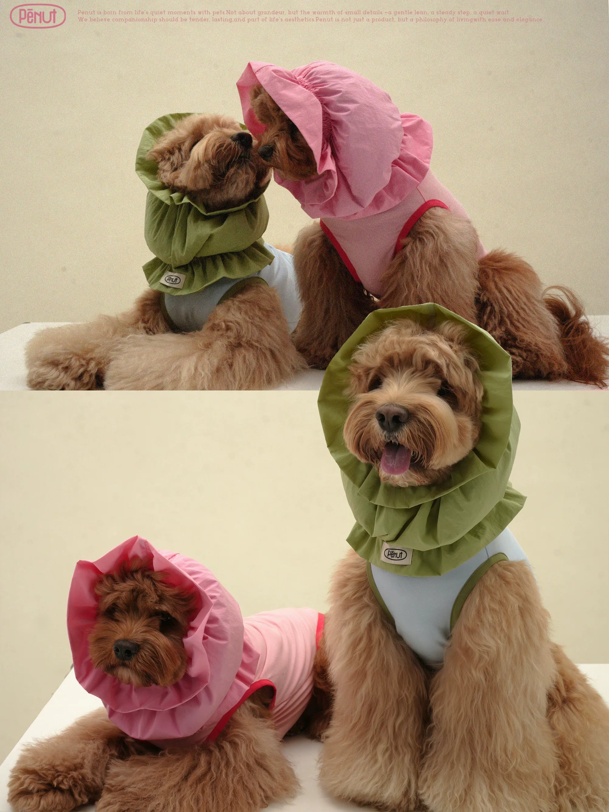 Pēnut Summer Candy Ear Snood