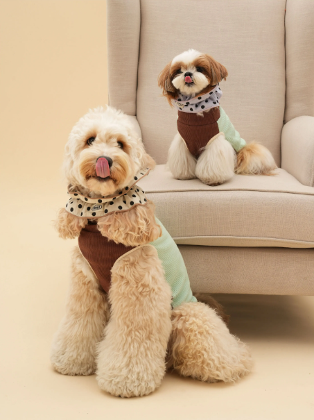 Pēnut Polka Dot Ruffle Neck Collar