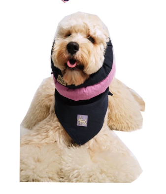 Pēnut Navy & Pink Ear Snood & Bandana