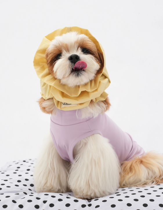 Pēnut Water-Resistant Dog Ear Snood