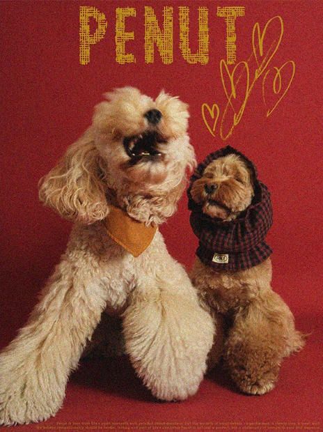 Pēnut Christmas Chestnut Ear Snood & Bandana