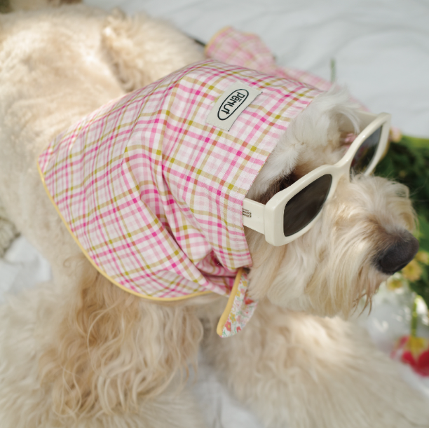 Pēnut Floral Ear Snood & Gingham Bandana