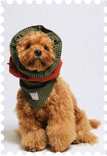 Pēnut Holiday Berry Ear Snood & Bib-Style Bandana