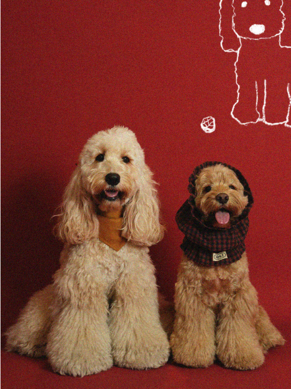 Pēnut Christmas Chestnut Ear Snood & Bandana