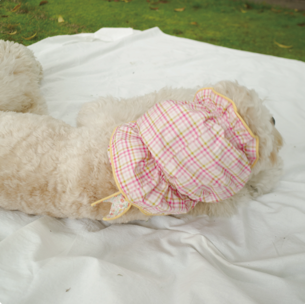 Pēnut Floral Ear Snood & Gingham Bandana