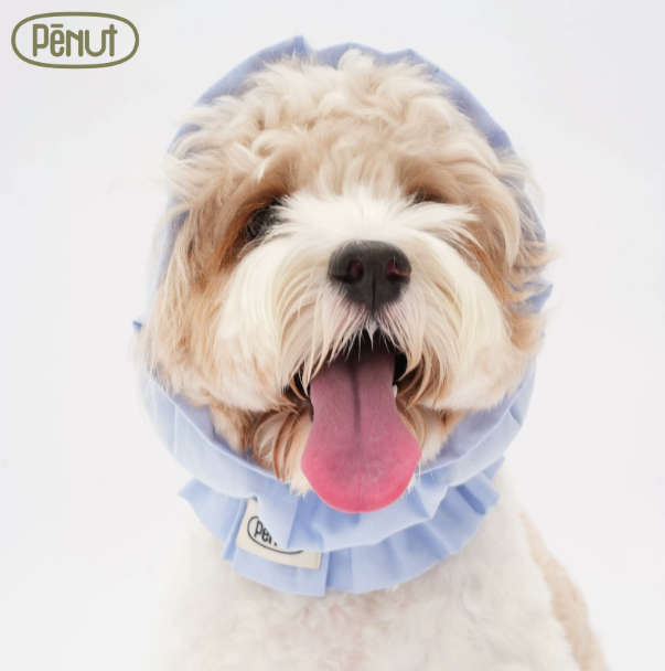Pēnut Summer Bubble Cotton Ear Snood- Blue & Purple Tones