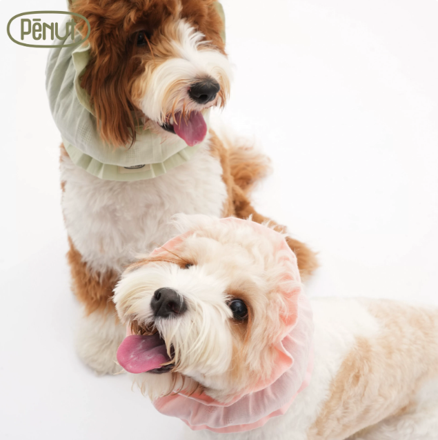 Pēnut Summer Bubble Cotton Ear Snood- Green & Pink Tones
