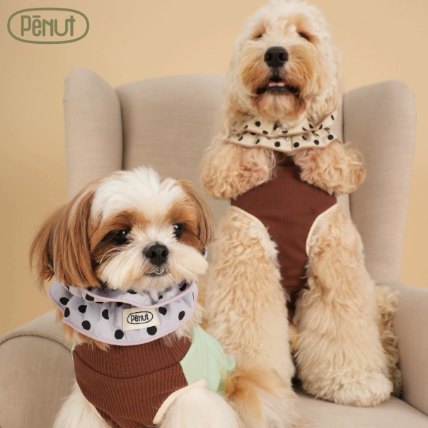 Pēnut Polka Dot Ruffle Neck Collar